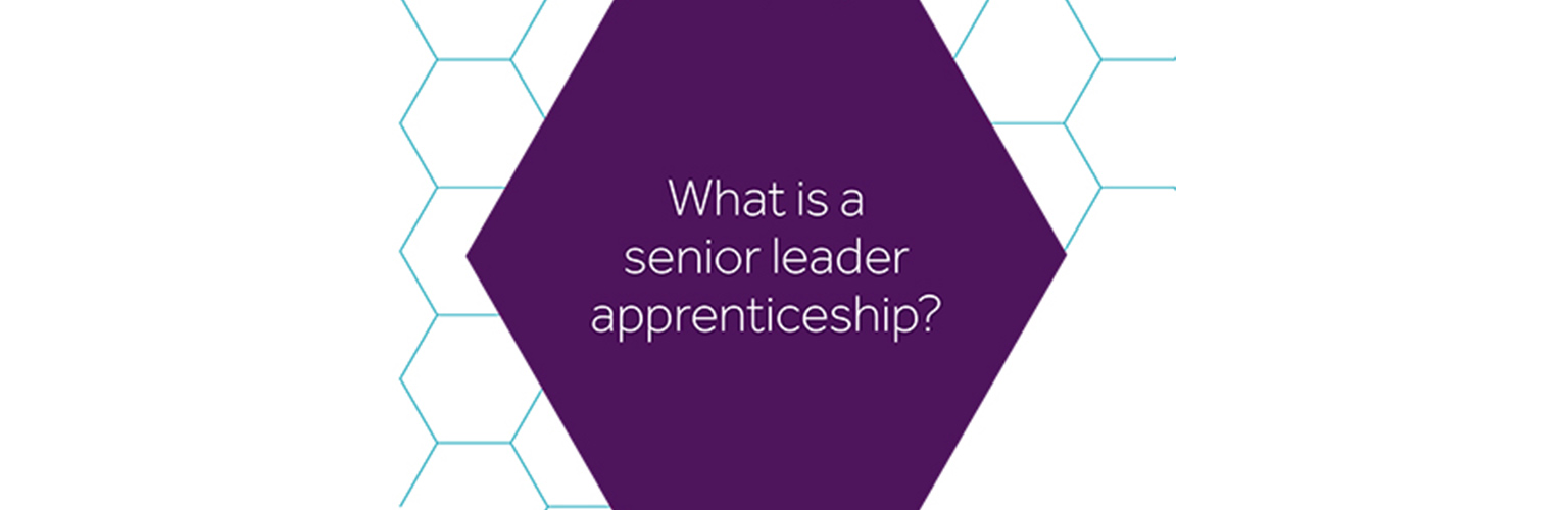 what is a-senior leader apprenticeship